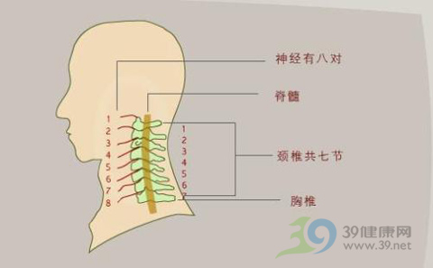 ��׵����Ԥ���Ӳ���ʼ